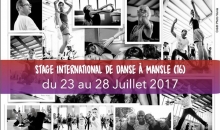 Stage mansle 2017