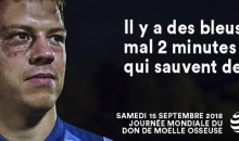 moelle osseuse