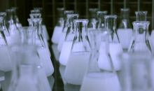 Valbiosis et le développement d’un nutraceutique contre la dyslipidémie, projet soutenu par l’Union Européenne : 