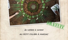Atelier d'initiation au Land Art