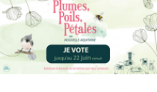 exposition Plumes, Poils, Pétales