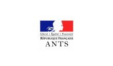 ants