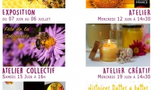 Le mois des abeilles : un mois pour découvrir leur rôle et leur nécessité