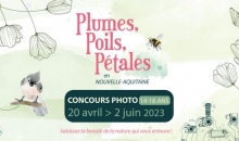 concours