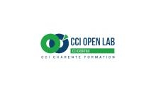 CCI OPEN LAB