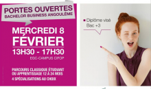 bachelor business angouleme