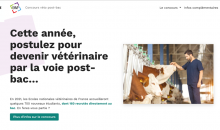 vétérinaire nouveau concours post-bac