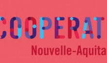 Logo so coopération