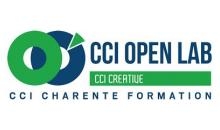 CCI OPEN LAB