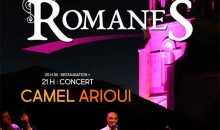 Les romanes 