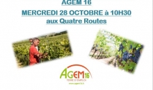 AGEM 16 - offre emploi vignes