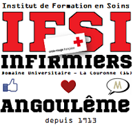 INSTITUT DE FORMATION EN SOINS INFIRMIERS CROIX ROUGE FRANCAISE