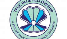 Logo Bow Seat