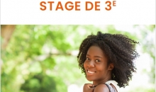 stage 3ème